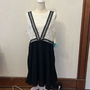 CeCe black white lace sleeveless dress Size 14 New